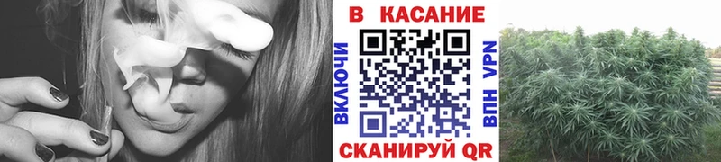 Купить наркотик Сорочинск мега   Меф мяу мяу  Гашиш  АМФ 