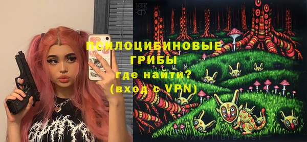 дмт Аркадак