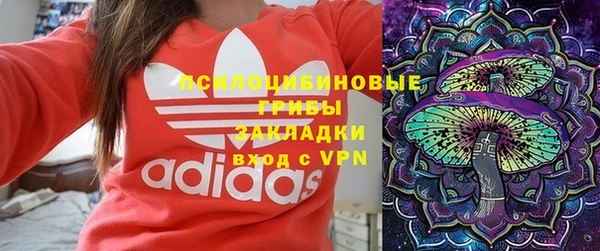 дмт Аркадак