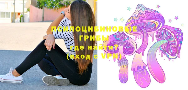 дмт Аркадак